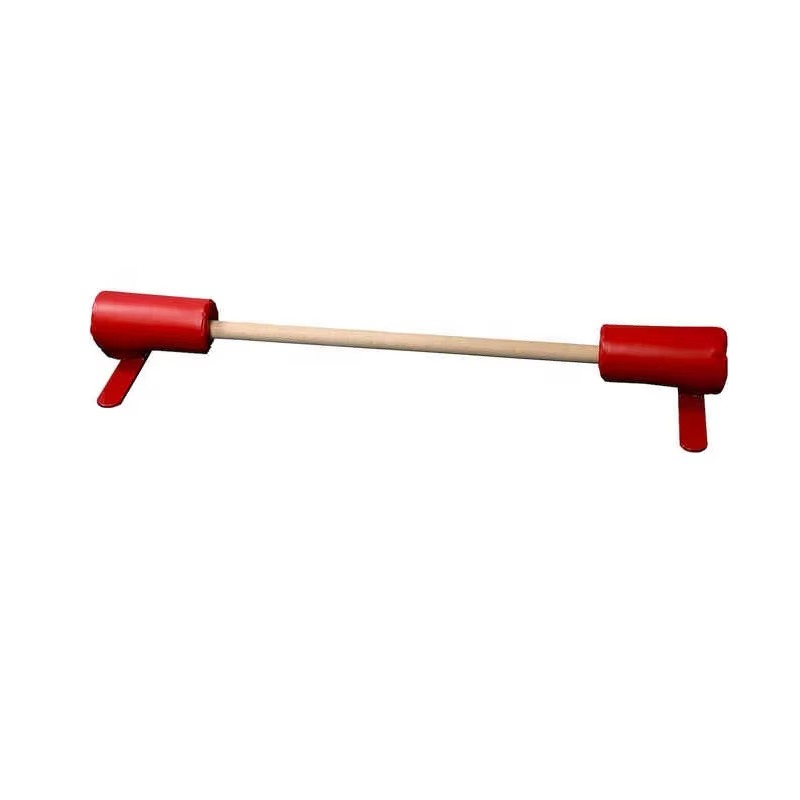 Gymnastics Beam Floor - Gymnastics Training Bars a staple in